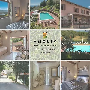 Amoliv Bed & Breakfast